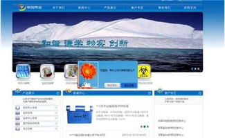 杭州網(wǎng)站制作與軟件開發(fā) 企業(yè)數(shù)字化轉(zhuǎn)型的得力伙伴