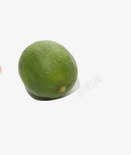 新鮮瓜果素材集 高質(zhì)創(chuàng)意視覺的全新發(fā)布頁(yè)